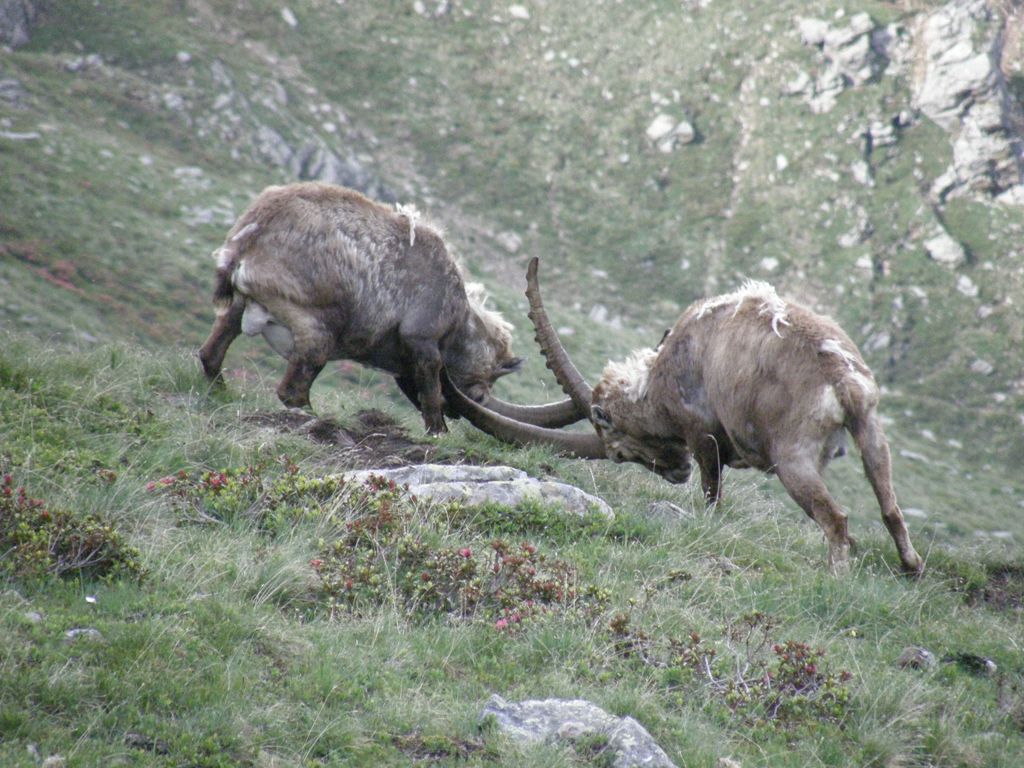 A ognuno il suo SEDERE!